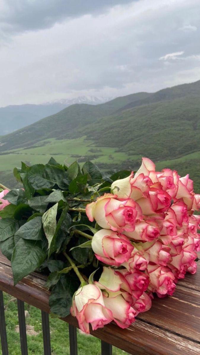Celestial Bloom Romance: A Symphony of Starlit Petals